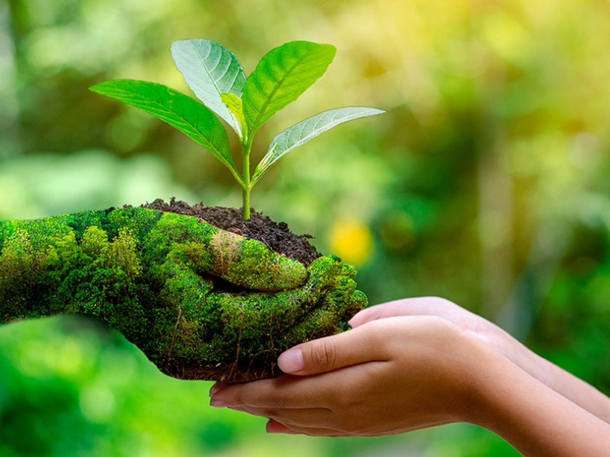 ecologia ecologico